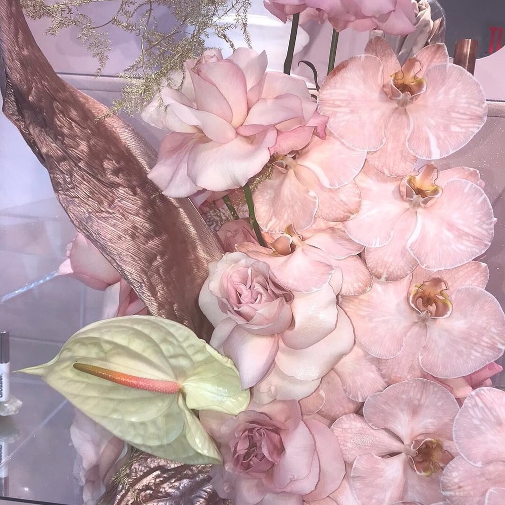 Meet your Posher, Ava